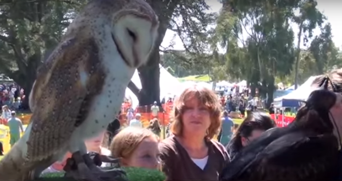 Pets' Day Out 2016.png