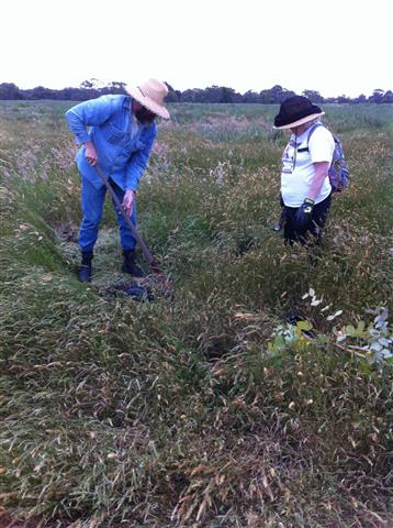 1st.tree-planting.visit (2).jpg